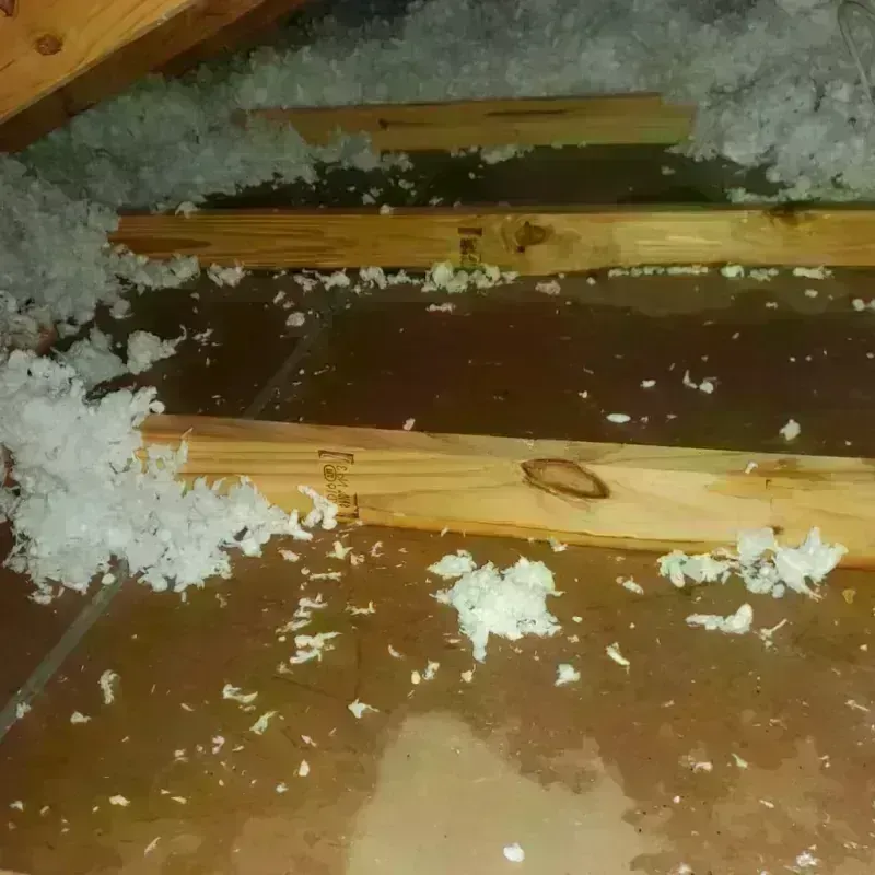 Attic Water Damage in Osceola County, MI