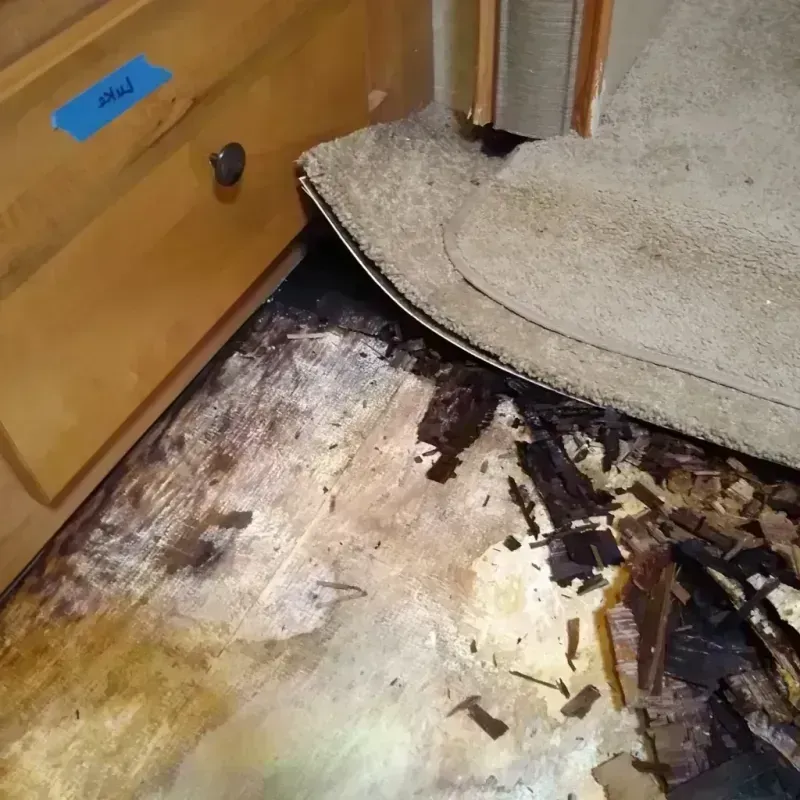 Wood Floor Water Damage in Osceola County, MI